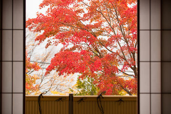 Hoshino Resorts Kai Nikkō Luaran gambar